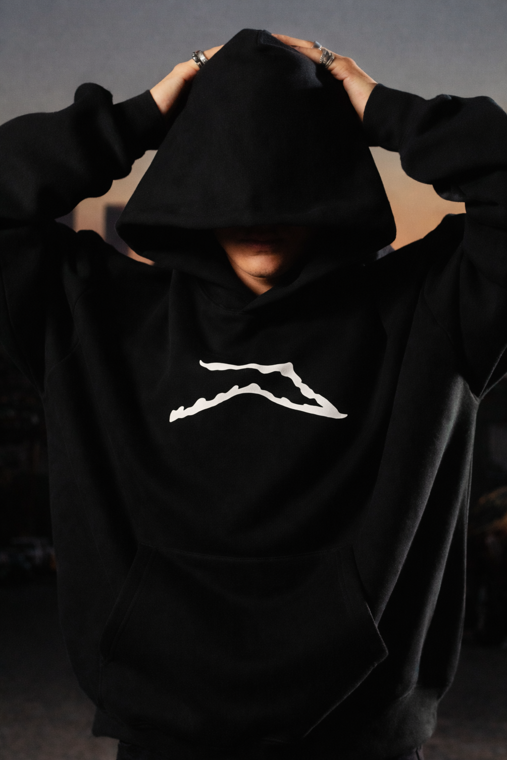 UTAH MOUNTAINS HOODIE